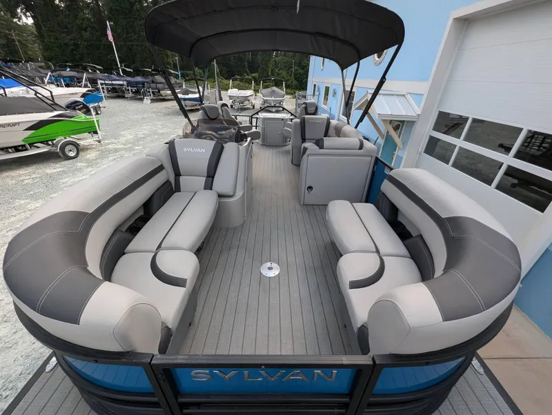 Slide: The Image of Sylvan L-3 Party Fish 2024 - 5