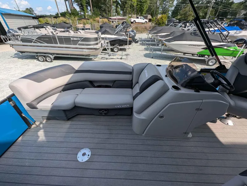 Slide: The Image of Sylvan L-3 Party Fish 2024 - 8