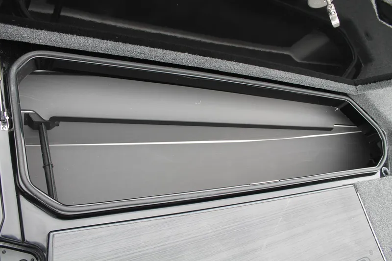 Slide: The Image of Vexus VX20 2024 - 10