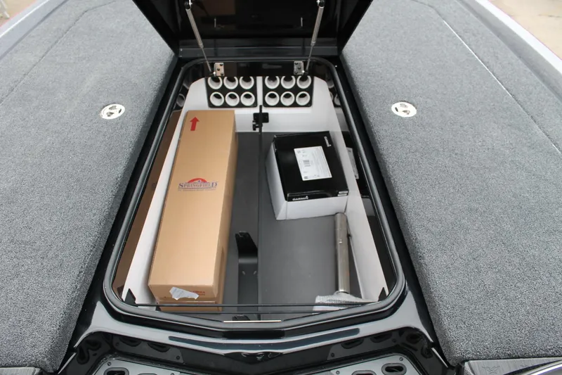 Slide: The Image of Vexus VX20 2024 - 32