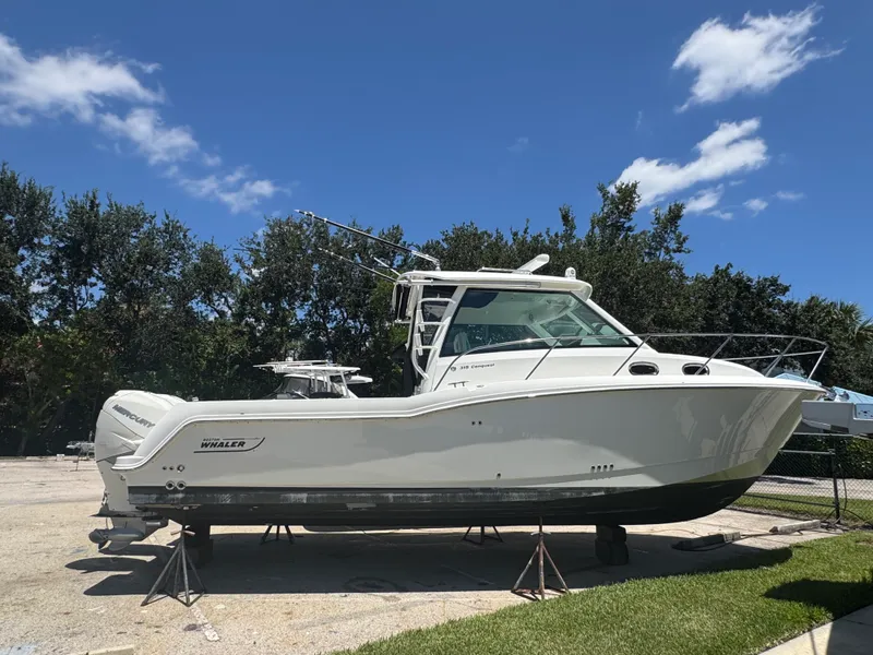 The Image of Boston Whaler 315 CONQUEST 2018 - undefined