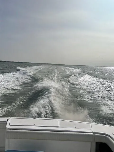 Slide: The Image of Tiara Yachts 1991 4300 Open cruising, leaving a wake on a sunny day. - 11