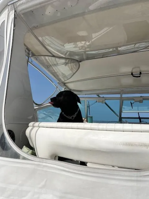 Slide: The Image of Tiara 4300 Open 1991 - 66