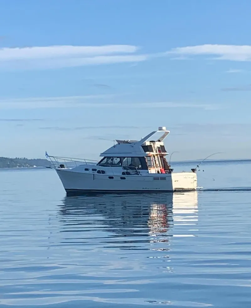 The Image of 1992 Bayliner 3288 Motoryacht cruising on calm waters. - 0