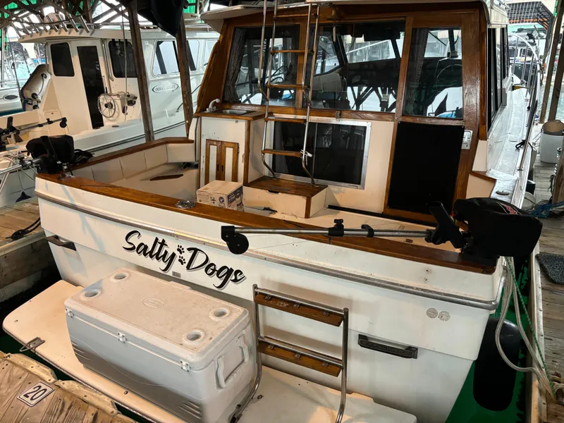 Slide: The Image of 1992 Bayliner 3288 Motoryacht Salty Dog docked, rear view with cooler and ladder. - 6