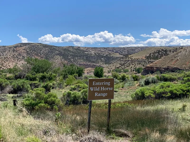 Slide: The Image of Custom Tour Boat and Business 1987 - 63