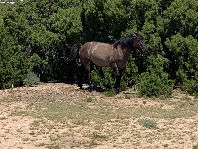 Slide: The Image of Custom Tour Boat and Business 1987 - 65