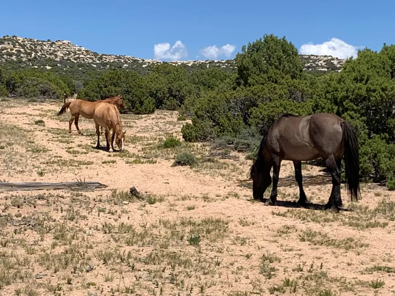 Slide: The Image of Custom Tour Boat and Business 1987 - 66
