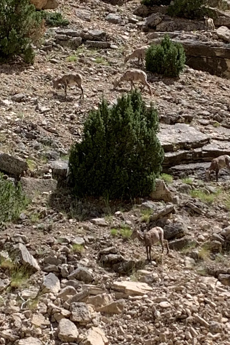 Slide: The Image of Custom Tour Boat and Business 1987 - 79