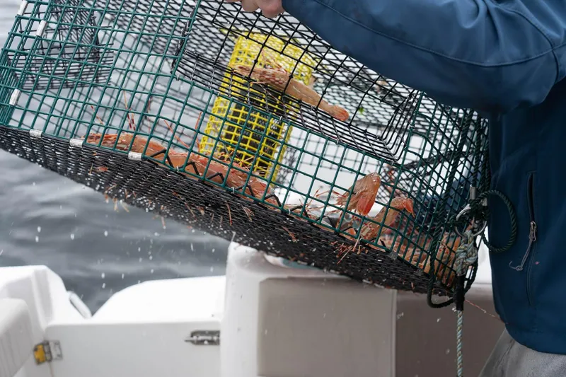 Slide: The Image of Solara 250 Dual Console 2024 - 40