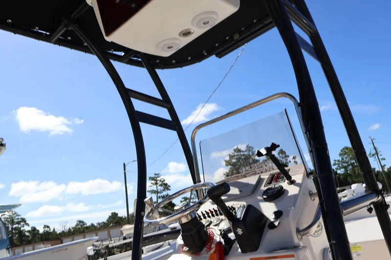 Slide: The Image of Carolina 218 DLV 2019 - 10