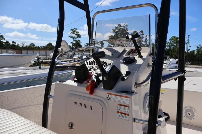 Slide: The Image of Carolina 218 DLV 2019 - 11