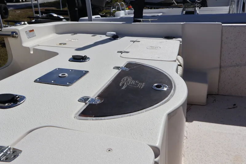 Slide: The Image of Carolina 218 DLV 2019 - 12