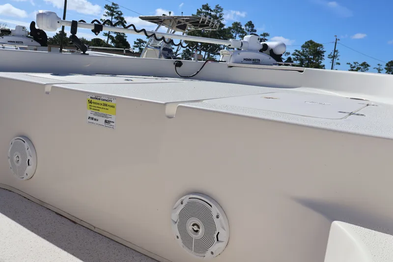 Slide: The Image of Carolina 218 DLV 2019 - 14