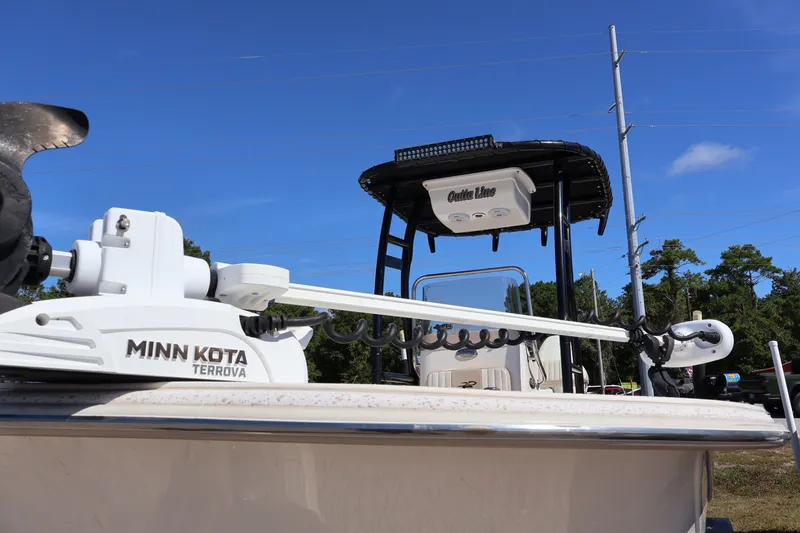 Slide: The Image of Carolina 218 DLV 2019 - 17