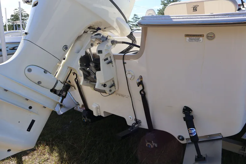 Slide: The Image of Carolina 218 DLV 2019 - 23