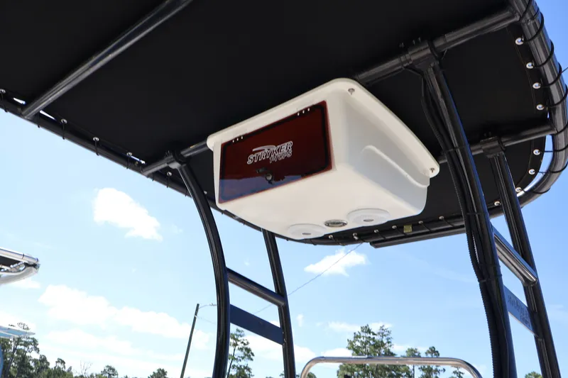 Slide: The Image of Carolina 218 DLV 2019 - 27