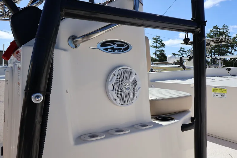 Slide: The Image of Carolina 218 DLV 2019 - 28