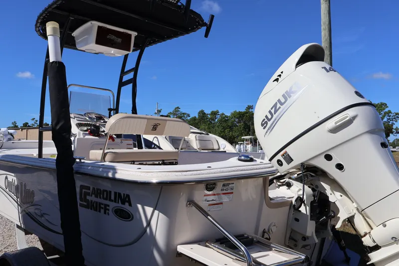 Slide: The Image of Carolina 218 DLV 2019 - 3