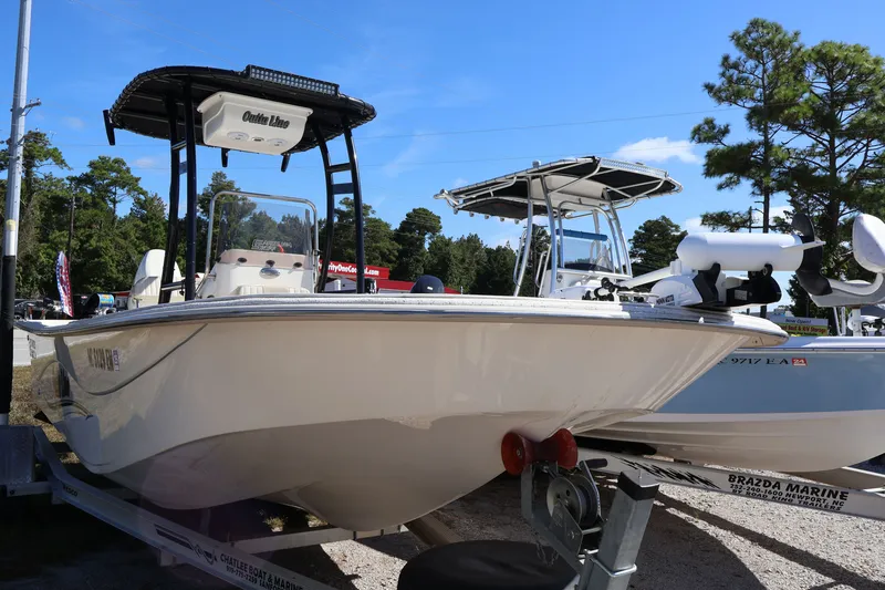 Slide: The Image of Carolina 218 DLV 2019 - 4