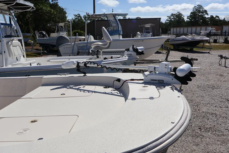 Slide: The Image of Carolina 218 DLV 2019 - 6