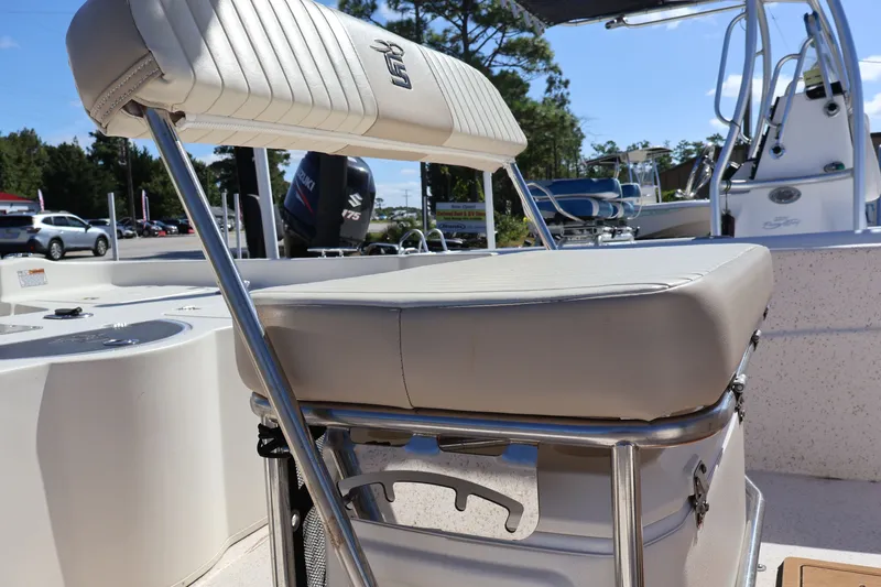 Slide: The Image of Carolina 218 DLV 2019 - 8