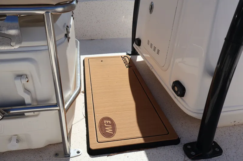 Slide: The Image of Carolina 218 DLV 2019 - 9