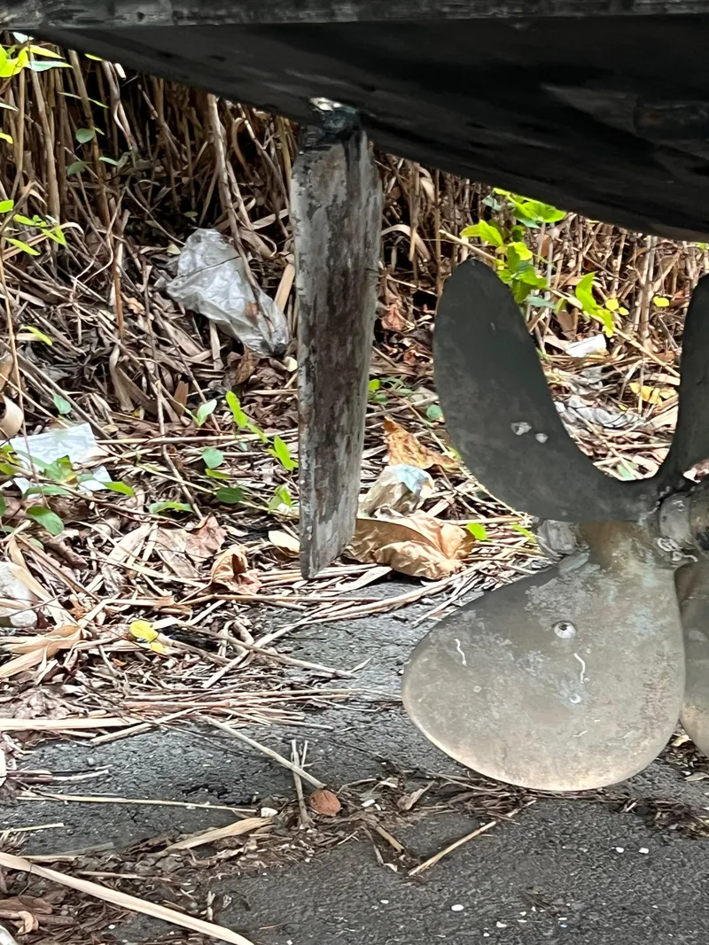 Slide: The Image of Canyon Bay 40 1988 - 63