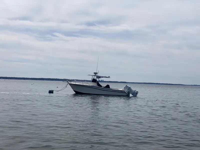 Slide: The Image of 1996 Grady-White Chase 263 boat anchored on calm water under cloudy sky. - 6