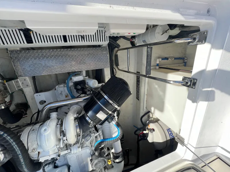 Slide: The Image of Back Cove 37 2017 - 75