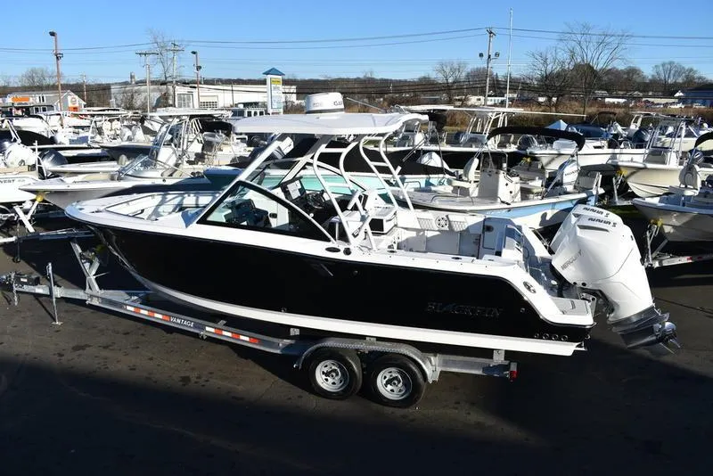 Slide: The Image of 2024 Blackfin 252DC boat on trailer in marina setting. - 4