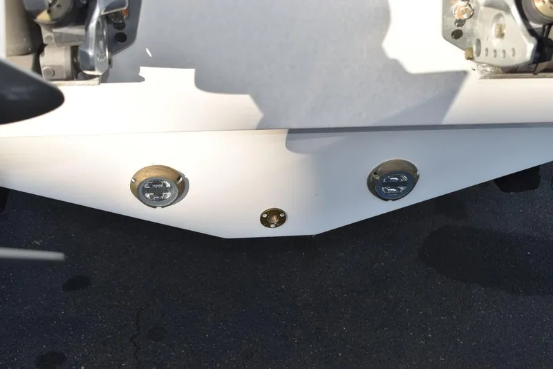 Slide: The Image of Blackfin 252 DC 2024 - 65