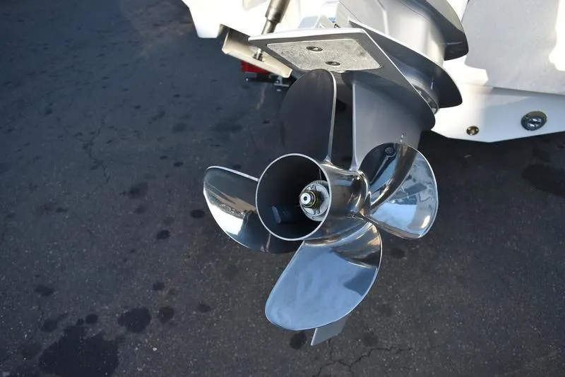 Slide: The Image of Blackfin 252 DC 2024 - 67