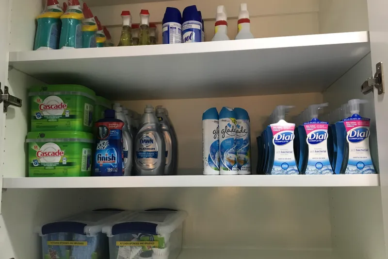 Slide: The Image of A well-organized cabinet with cleaning supplies, including Cascade, Dial, and Glade products. - 33
