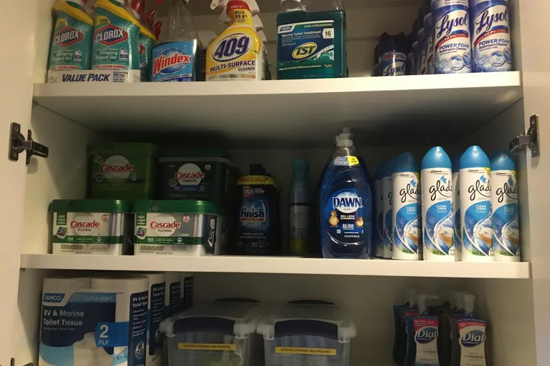 Slide: The Image of Cabinet stocked with cleaning supplies, including Clorox, Windex, Lysol, and Cascade products. - 44