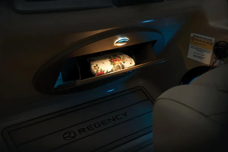 Slide: The Image of Regency 230 LE3 2024 - 66