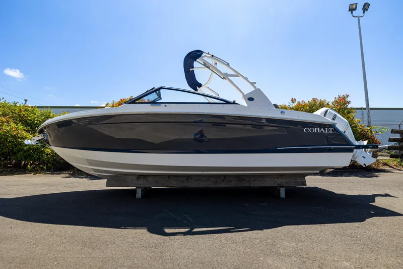 The Image of Cobalt R4 OB 2024 - 1
