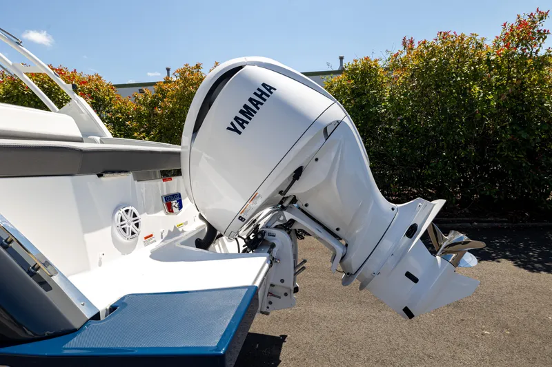 Slide: The Image of Cobalt R4 OB 2024 - 3