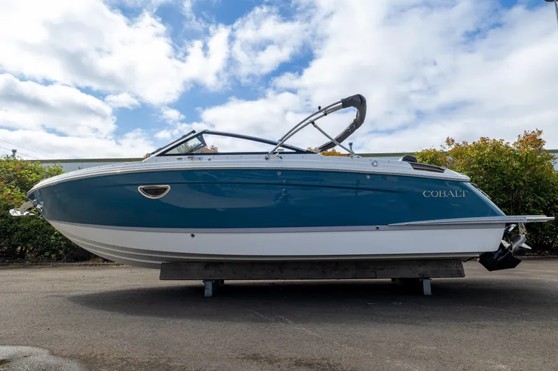 The Image of Cobalt R6 2024 - 1