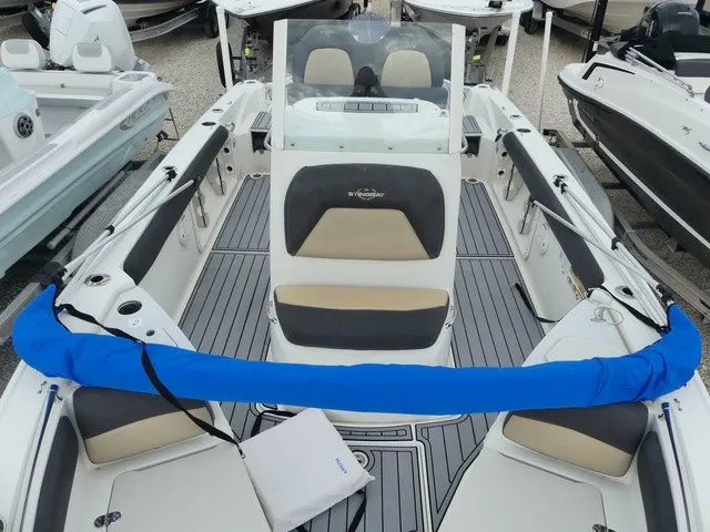Slide: The Image of Stingray 216 CC 2019 - 14