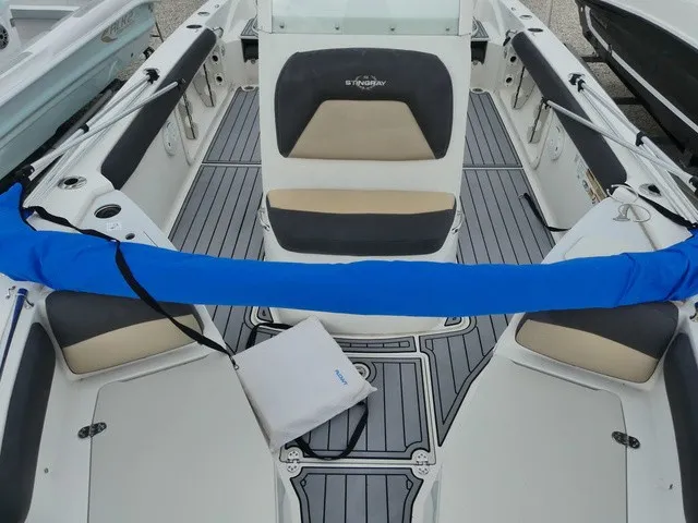 Slide: The Image of Stingray 216 CC 2019 - 15