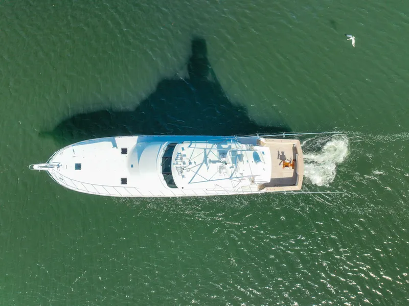 Slide: The Image of Hatteras Sportfish 1997 - 100