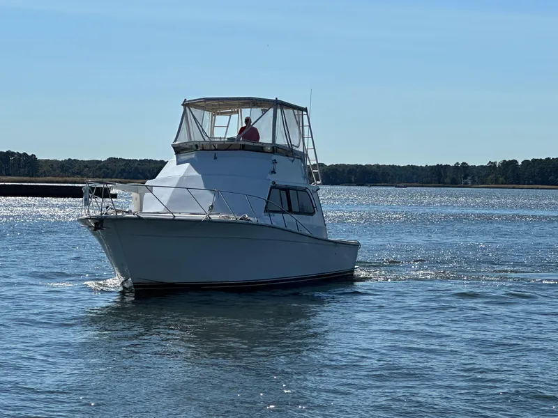 Slide: The Image of Egg Harbor Sport Fisherman 43 1988 - 3