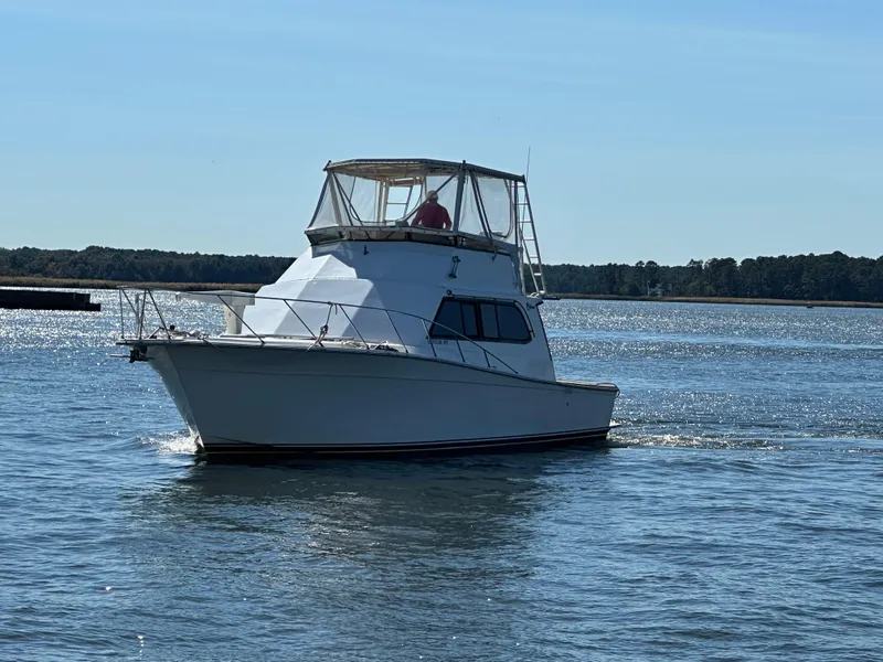 Slide: The Image of Egg Harbor Sport Fisherman 43 1988 - 7