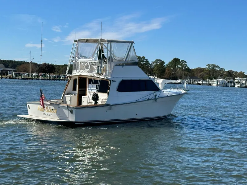 Slide: The Image of Egg Harbor Sport Fisherman 43 1988 - 9