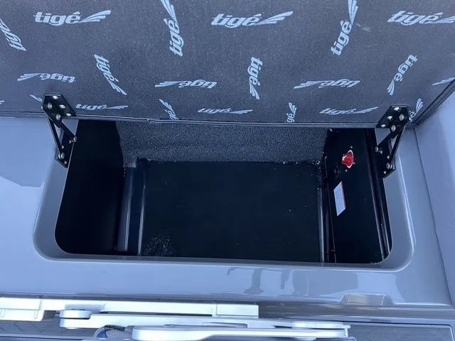 Slide: The Image of Tigé 22RZX 2024 - 20