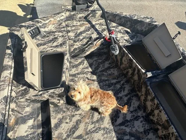 Slide: The Image of Havoc MSTC 1756 2024 - 4