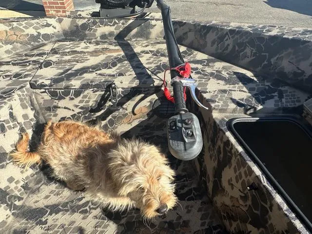 Slide: The Image of Havoc MSTC 1756 2024 - 6