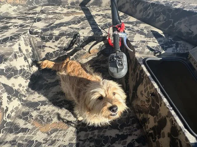 Slide: The Image of Havoc MSTC 1756 2024 - 9