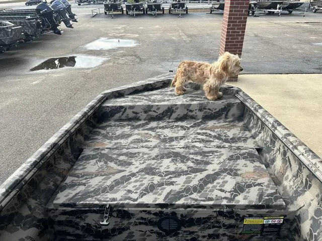 Slide: The Image of Havoc VJST C 1653 2024 - 11